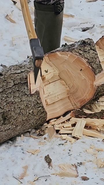 "Лагерный финн" на сучках в -23. смотреть онлайн