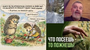 Наше будущее - это то, что мы делаем в настоящем. Создайте будущее для себя и своих детей сегодня