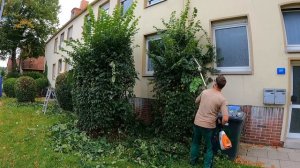 Вы что, С УМА СОШЛИ, что РАБОТАЕТЕ В ОДИНОЧКУ?