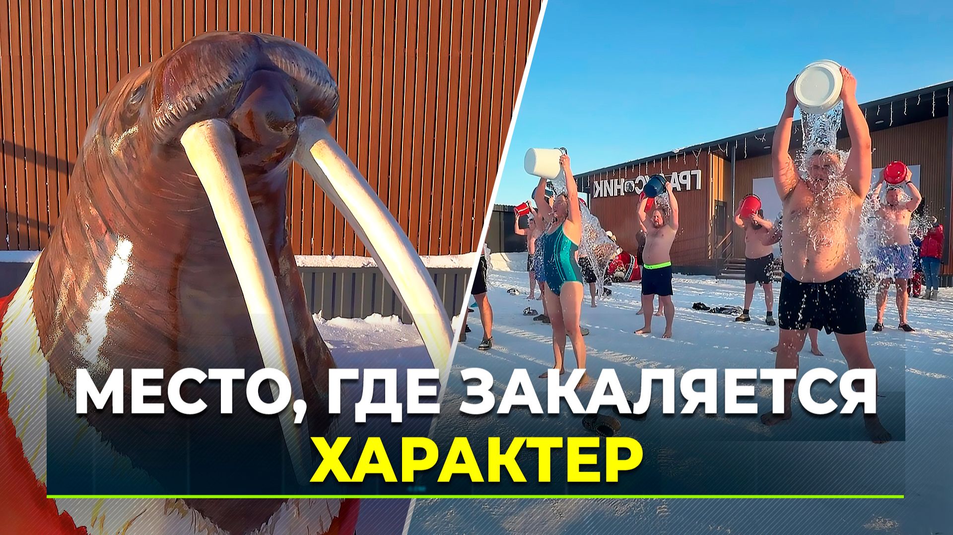 На Ямале открыли первый Центр моржевания смотреть онлайн