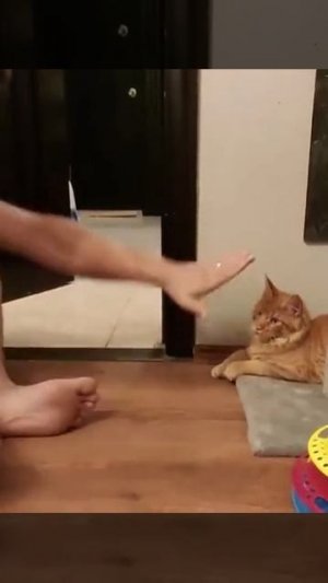 Ах ты шайтан