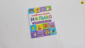 РАЗВИТИЕ ОТ 0 ДО 3 ЛЕТ.  ГЛАВНАЯ КНИГА МАЛЫША