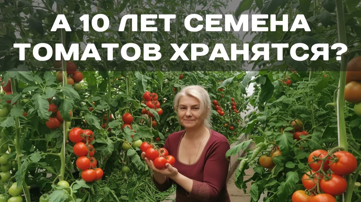 Семена, просыпайтесь! Как проверить их на всхожесть и не прогадать смотреть онлайн