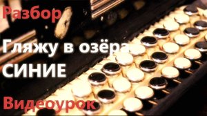 Гляжу в ОЗЕРА Синие РАЗБОР на Баяне
