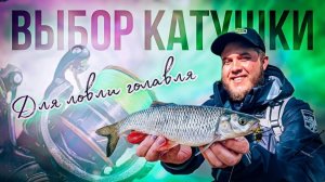 ВЫБОР КАТУШКИ ДЛЯ ЛОВЛИ ГОЛАВЛЯ