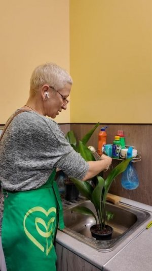 Как мы ухаживаем за растениями в магазине