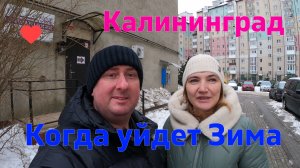 Калининград когда уйдет Зима