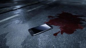 Запись 001 обнаруженная возле леса