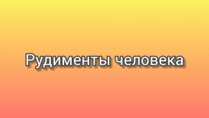 Рудименты человеческого организма