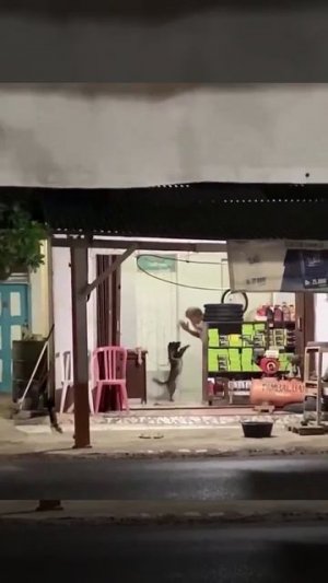 Если ваша вечеринка не похожа на это, даже не думайте меня приглашать 😁