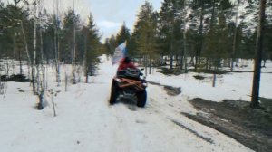 #квадроцикл cfmoto_800_лес_зима#