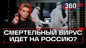 Доберется ли смертельный индийский вирус Нипах до России?