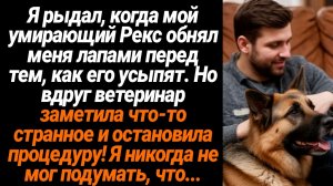 Жизненные Истории/Я рыдал, когда мой умирающий пёс обнял меня, перед тем, как его усыпят