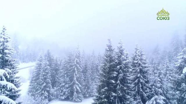 Стихи над миром. Стихотворения Зинаиды Миркиной смотреть онлайн