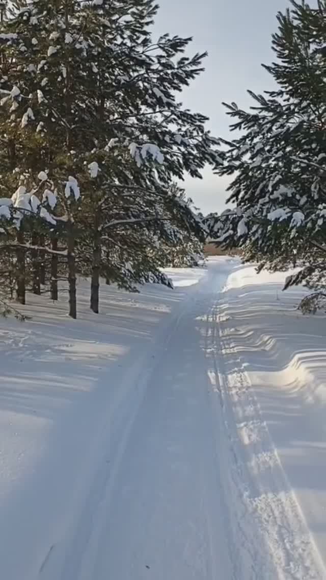 Берег Вятки в январский солнечный день.