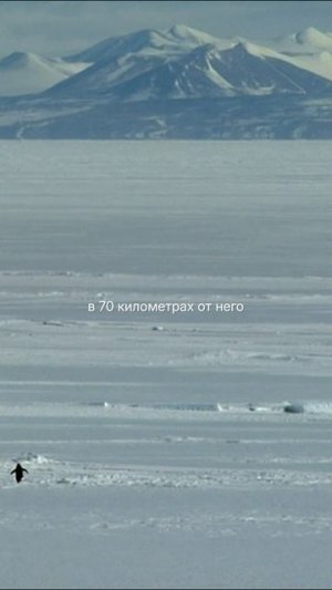 Почему? 
but why