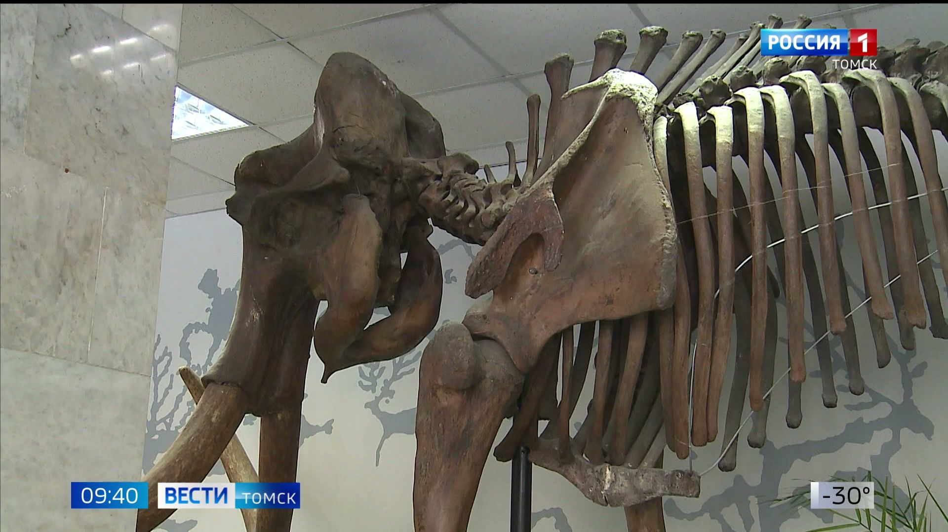 Вести-Томск, выпуск от 26.01.2026 09:30 смотреть онлайн