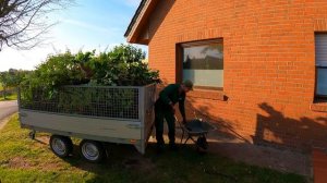 Мне ОЧЕНЬ ПОВЕЗЛО, что не пришлось удалять эту изгородь полностью