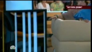 Драка в ток-шоу "Говорим и показываем" (НТВ, 31.08.2016)