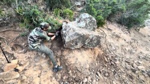 Невероятно интересные находки под древними камнями!