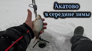 Середина зимы на АКАТОВО разнорыбица и как Лёша косячит