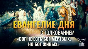 «Бог не есть Бог мёртвых, но Бог живых» / Евангелие дня