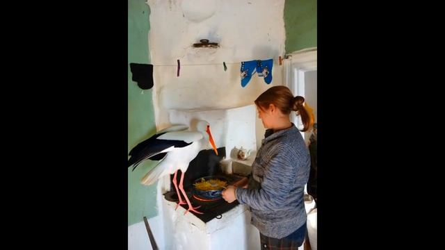 ЗАХОТЕЛ КАРТОШКИ смотреть онлайн