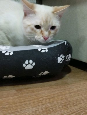 ребят Я играю в игру онлайн присоединяйтесь ПЖ