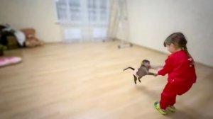 УРА! Ангелина, Люся и Соня переехали в     НОВЫЙ ДОМ!