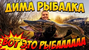 Вот это рыбаааааа