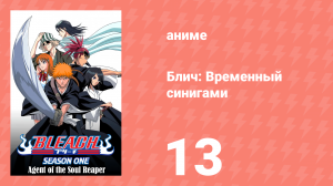 Блич: Временный синигами 13 серия (аниме-сериал, 2004)