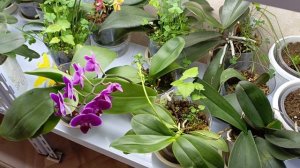 видео ответ Нике, злой женщине из рутуба ☺🌺люди не любят слышать о себе правду, сразу агрессия