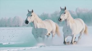 Снега России