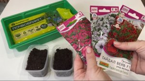 Сею петунию Тайдал.