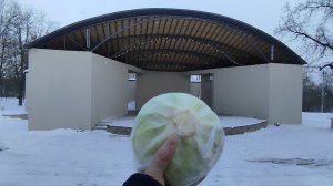 Рука человека держит капусту зимой на фоне сцены для выступлений