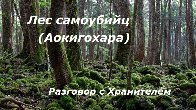Лес самоубийц (Аокигахара) разговор с Хранителем смотреть онлайн
