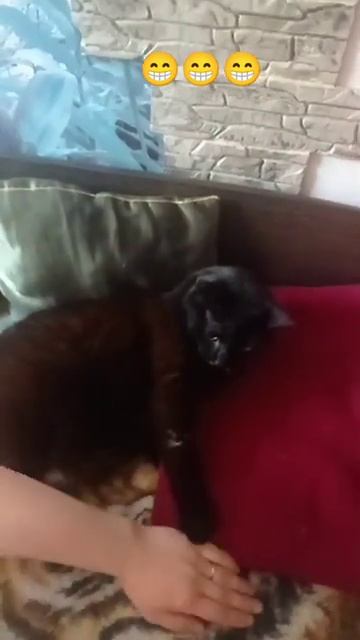 5 мая 2024 г [get.gt] смотреть онлайн