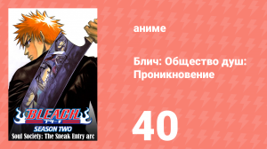 Блич: Общество душ: Проникновение 40 серия (аниме-сериал, 2004)