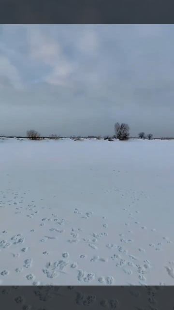 Парни спасают водоёмы от замора рыбы. Респект и уважуха, молодцы!!. смотреть онлайн