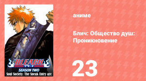 Блич: Общество душ: Проникновение 23 серия (аниме-сериал, 2004)
