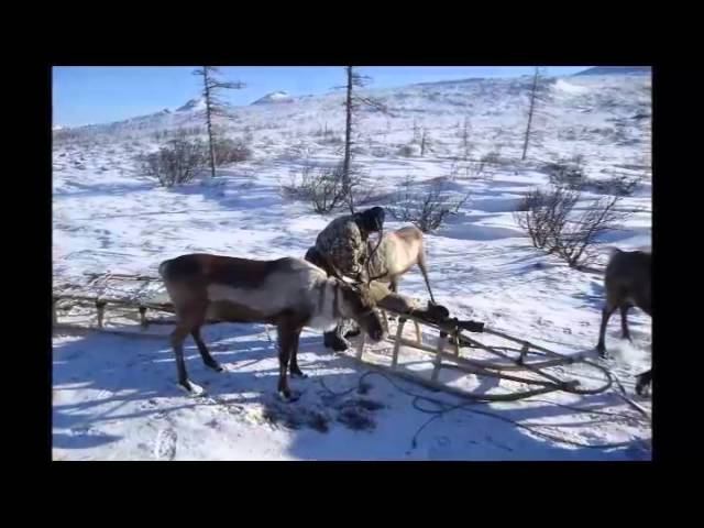 Молитва за народ Эвенков