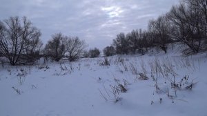 Опять с трофеем!!! 25.01.2026 г.