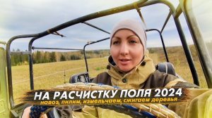 Вывозим навоз. Чистим поле от деревьев: измельчитель веток, пила и спички... Новый выпас для коров