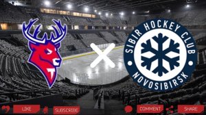 Торпедо - Сибирь