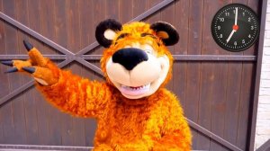 Настя как мама и рутинная Неделя с пупсиками