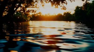 Не сдавайся