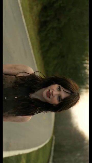 Companion компаньон 2025