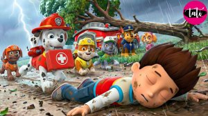 Щенячий патруль и Маршалл. Залипательное видео. Мультфильм для детей и малышей. Анимация 129