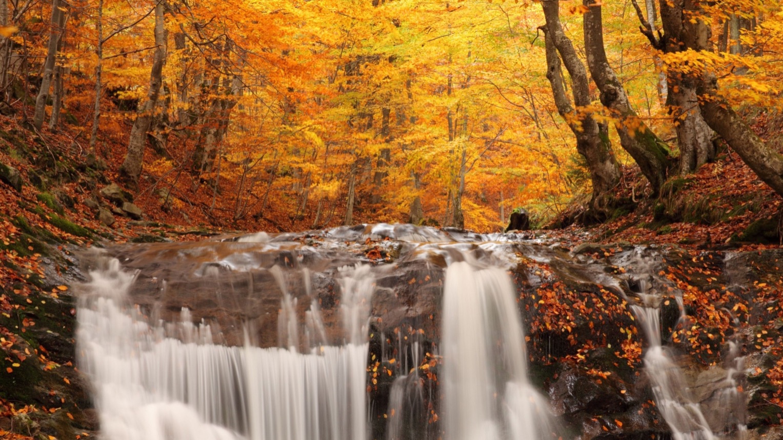 106 Подарите мне мир DeadRomantic 01 03 2026 стихи Алексей Семенов samam