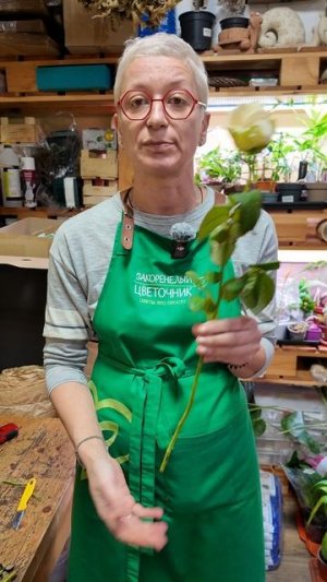 Почему розы долго не стоят?